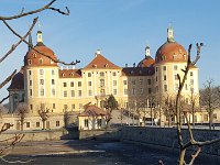 Dresden 31